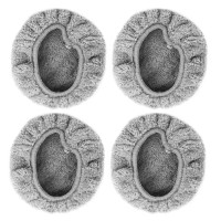 Náhradní mopovací tkanina (2 páry) pro Dewis R480 Náhradní mopovací tkanina (2 páry) pro Dewis R480