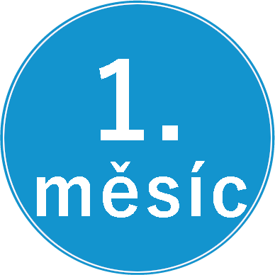 prvni mesic
