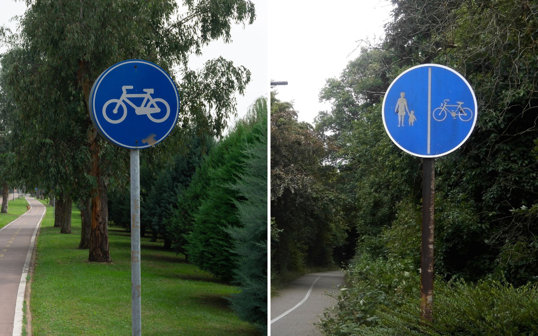 Electric scooters and legislation